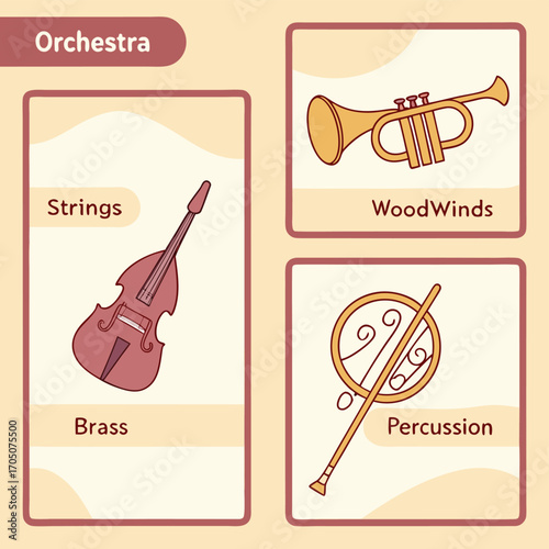 Orchestral Instruments: An educational diagram showcasing the primary families of orchestral instruments: strings, brass, woodwinds, and percussion.