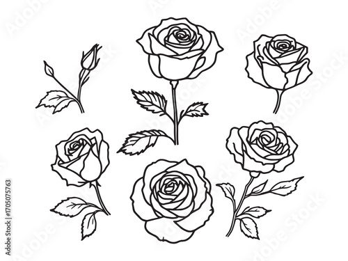Rose garden whispers secrets of love