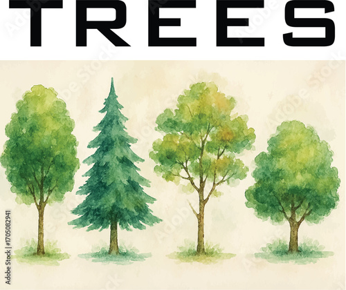 Trees water color style 