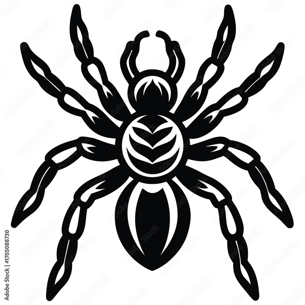 Obraz premium tarantula vector icon
