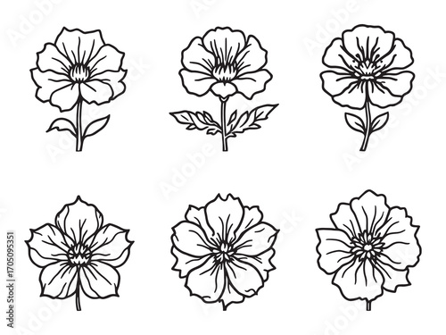 Snapdragon Elegant Plant Growing Outdoors Naturally