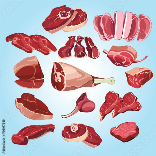 Flat Illustration Variety Meat Selection Fresh Cut Part Butcher Shop