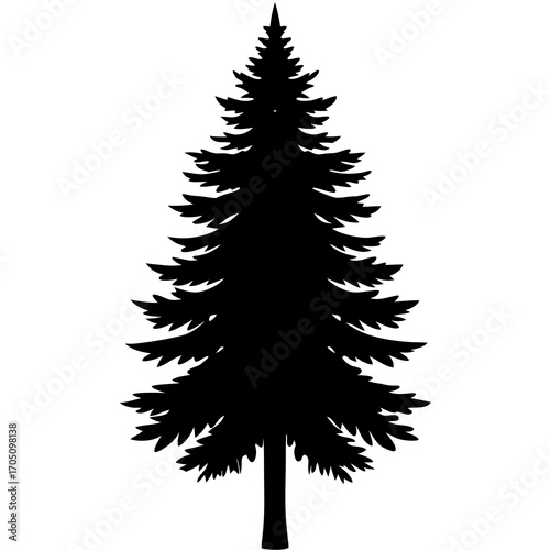 Tree silhouette on white background