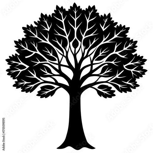 Tree silhouette on white background