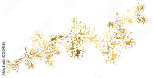 Cuadro en lienzo Golden foil png