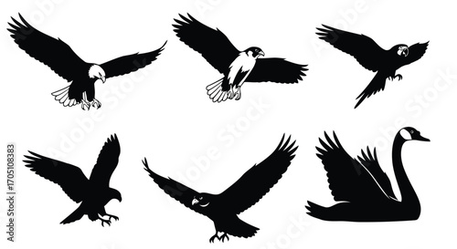 Vector illustration of collection of bird silhouettes in flight and at rest