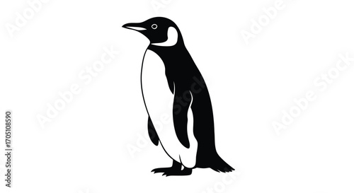Vector illustration of penguin silhouette standing