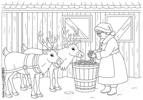 Mrs Claus vector illustration of an elderly woman feeding reindeer with a barrel of food outside a stable in winter drawn in clean cartoon line art style for Christmas