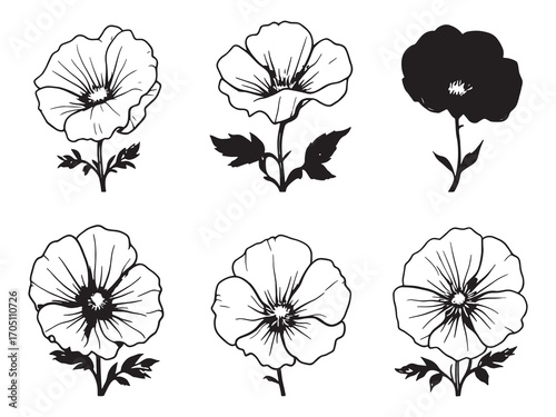 Sweet Pea Beautiful Blooming Garden Flowers
