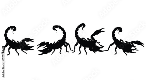 Scorpion silhouette row dynamic poses silhouette arachnid danger motion symbol vector