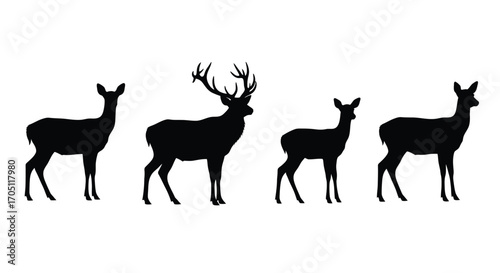 Majestic deer silhouettes collection representing wildlife nature forest animals vector