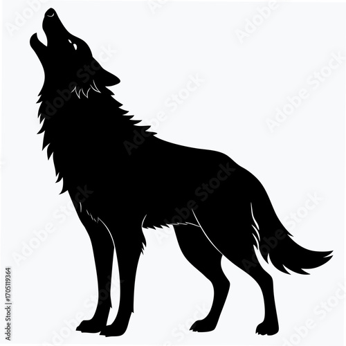 black and white wolf