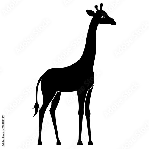 giraffe vector illustration