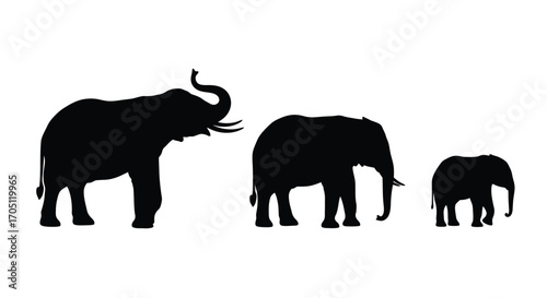 Three silhouette elephants family group majestic african wildlife safari concept vector