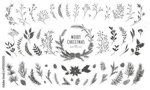Winter set of plant silhouettes. Christmas wreath, fir branches, berries, holly, flowers, cones, coniferous greenery, mistletoe, poinsettia. Vector illustration hand drawn