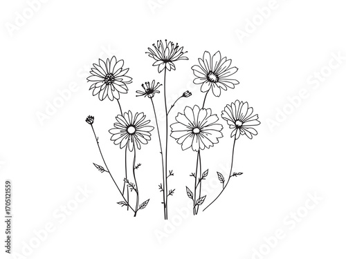 Yarrow Benefits For Health And Beauty