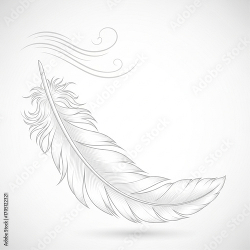 Stylized illustration of a single soft white feather floating gently
