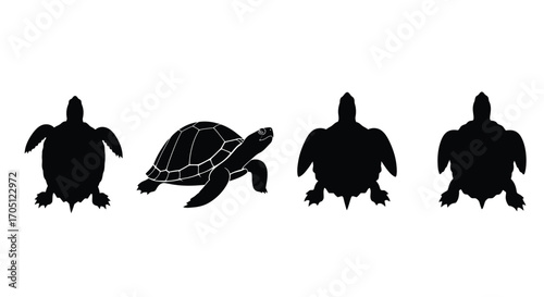 Set of four black silhouette sea turtles showing different angles underwater wildlife vector