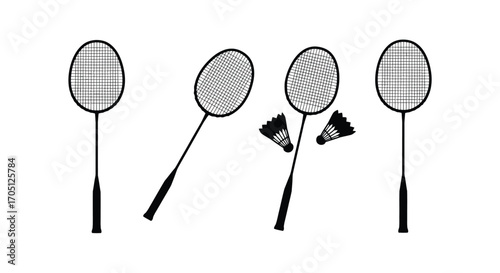 Badminton racquets and shuttlecocks for sports and recreation vector