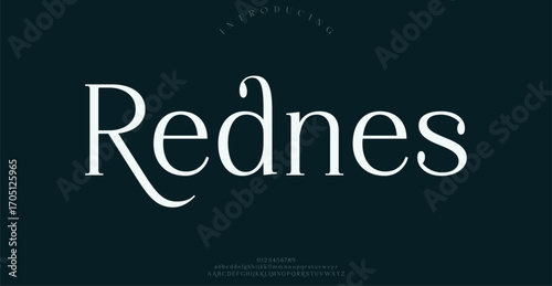 Rednes Lettering Minimalist Fashion. Elegant alphabet letters serif font and number. Typography fonts regular uppercase, lowercase.