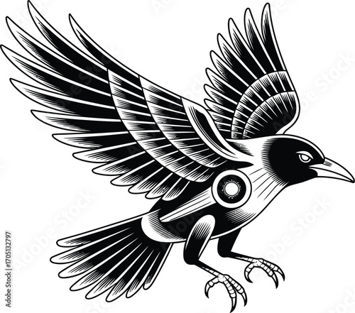Black bird with outstretched wings in flight white