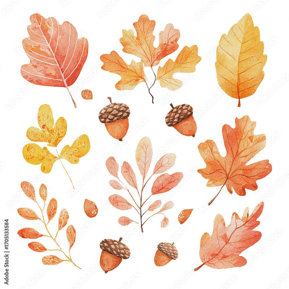 Fototapeta premium Watercolor Autumn Leaves and Acorns Collection in Warm Orange and Yellow Tones for Seasonal Design