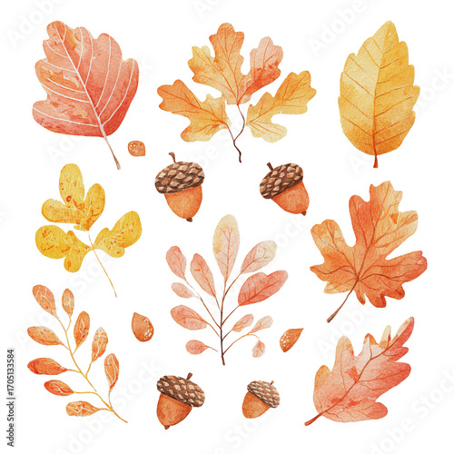 Watercolor Autumn Leaves and Acorns Collection in Warm Orange and Yellow Tones for Seasonal Design