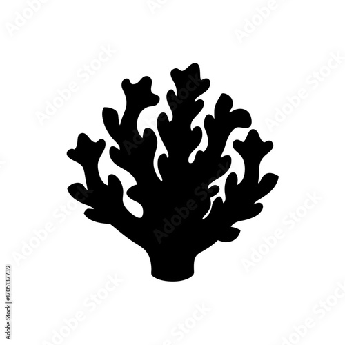 Silhouette of a branching coral structure on transparent background