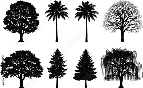 Tree silhouettes collection, vector forest icons, tropical and deciduous trees, conifer shapes, nature elements, black isolated tree set, botanical design