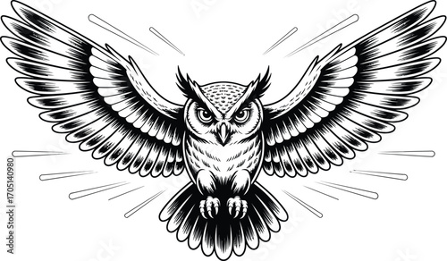 Black and white owl with spread wings in flight bird