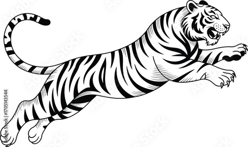 Black and white tiger leaping with open mouth animal