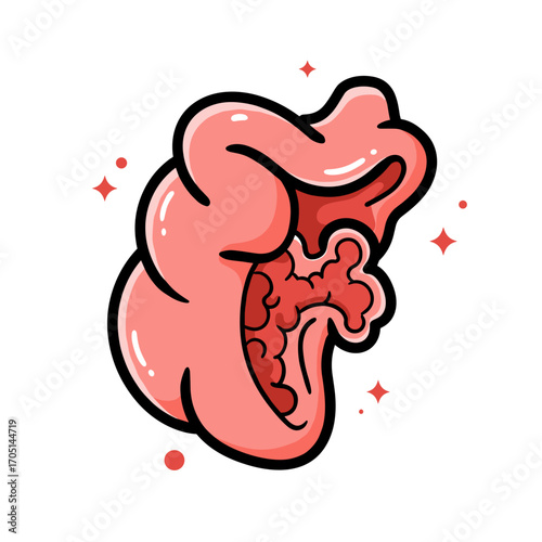 Cartoon illustration of colorful stomach with digestive details  