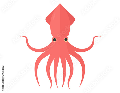 Stylized red squid cephalopod character with large eyes, a simple aquatic vector illustration on a transparent background, isolated and backgroundless