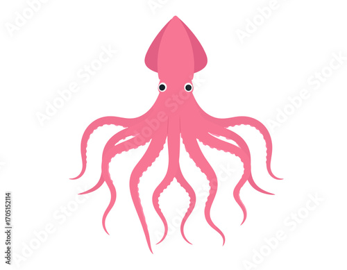 Vibrant pink squid illustration, an isolated marine creature with a graceful form, presented on a transparent background, perfectly backgroundless for versatile design projects