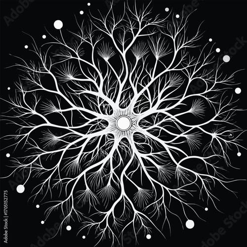 Intricate White Tree-like Structure on Black abstract