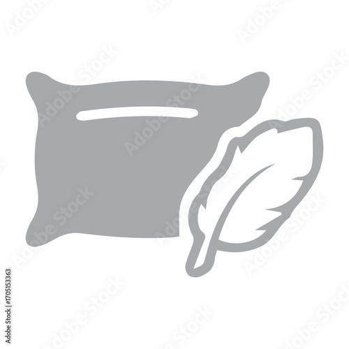 Pillow and Feather