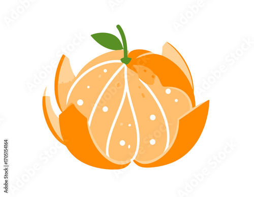 A stylized illustration of an orange with its peel peeled back, revealing its segmented interior, against a white background