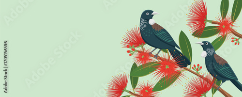 New Zealand Tui on Blooming Pohutukawa Branch