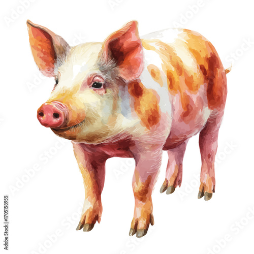 Pig, watercolor vector, isolated on a white background.