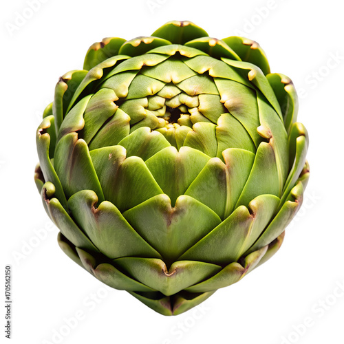A fresh, vibrant green artichoke with layered petals, isolated on a transparent background, showcasing its natural texture and form