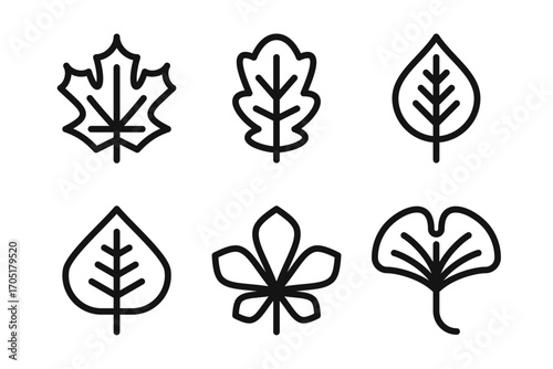 Autumn Leaves Linear Icon Set - Editable Stroke : Suitable for Use in Apps, Digital Content, and Printed Materials Related to Nature, Plant and Autumn Themes.