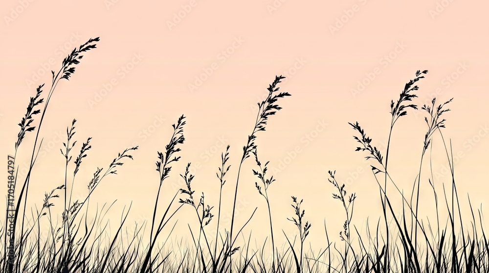 Obraz premium 21.A silhouette of grass swaying gently in the breeze, set against a soft background of pastel-colored skies. The vector illustration captures the delicate form of the grass, with individual blades
