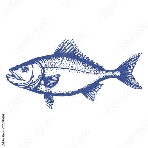 saltwater fishing