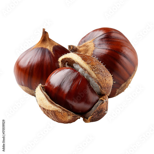 Chestnuts in shell. Isolated white background. Png format