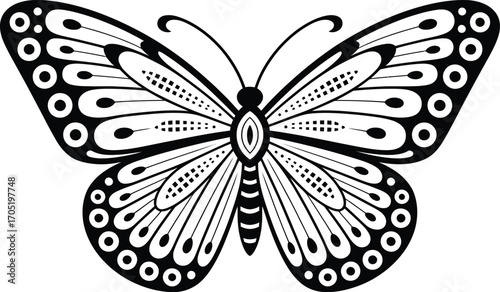 Black and white graphic butterfly with patterned wings