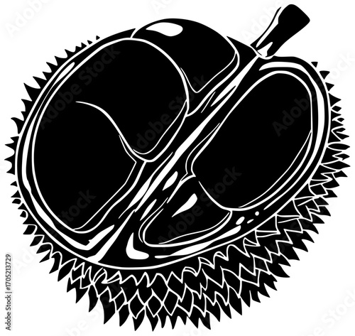 fruit illustration durian silhouette fresh logo exotic icon ripe outline food asian delicious sweet thailand yellow green king tropical shape with vector graphic background