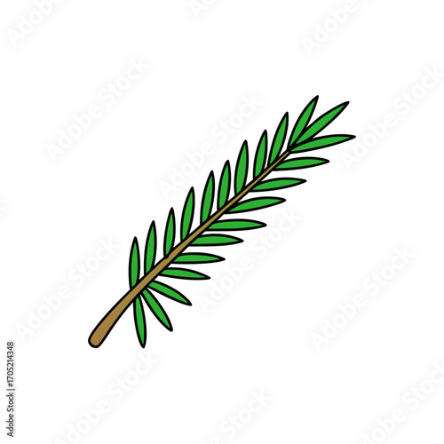 Green palm frond branch isolated on transparent background