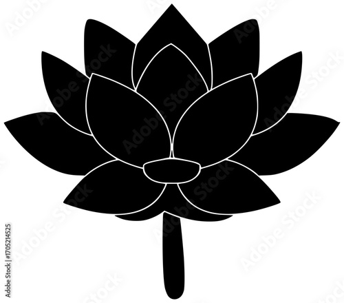 flower illustration lotus silhouette floral logo beauty icon blossom outline set bloom beautiful nature plant natural water lily flora shape kids vector graphic background