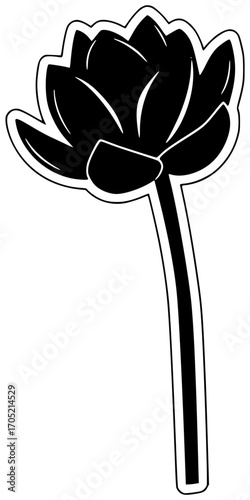 flower illustration lotus silhouette floral logo beauty icon blossom outline set bloom beautiful nature plant natural water lily flora shape kids vector graphic background