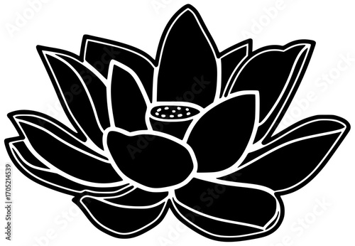 flower illustration lotus silhouette floral logo beauty icon blossom outline set bloom beautiful nature plant natural water lily flora shape kids vector graphic background